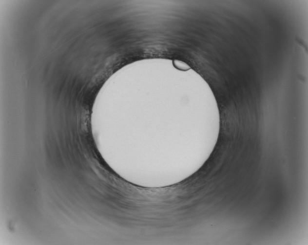 X0000102230038200808221318