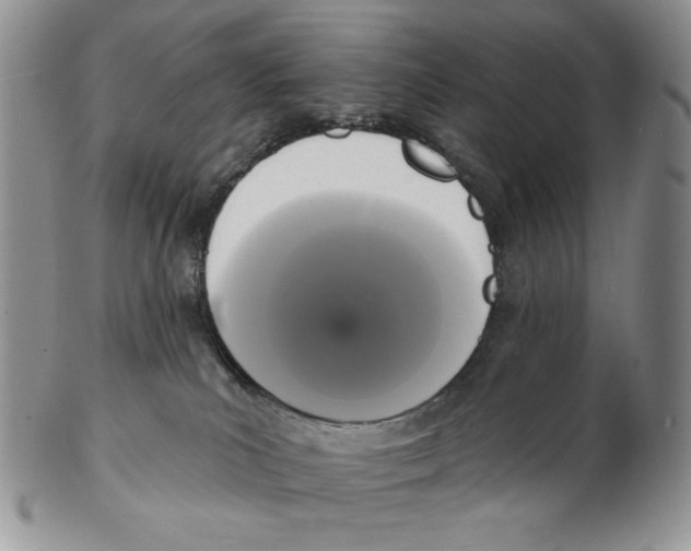 X0000102230039200808221318