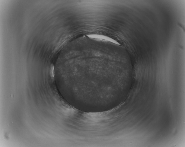 X0000102230041200808221318