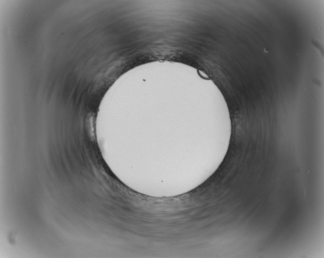 X0000102230042200808221318