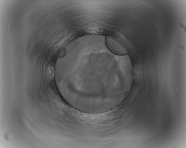 X0000102230043200808221318