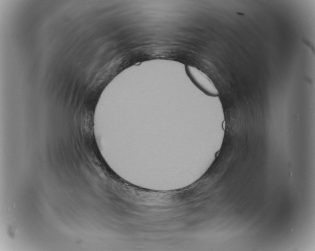 X0000102230044200808221318