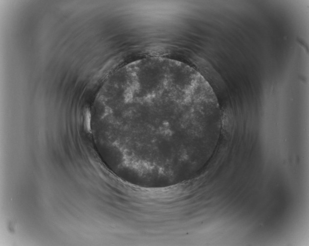 X0000102230046200808221318