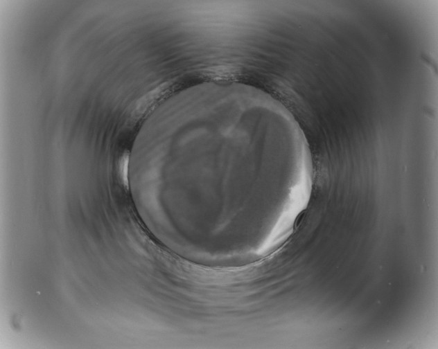 X0000102230047200808221317