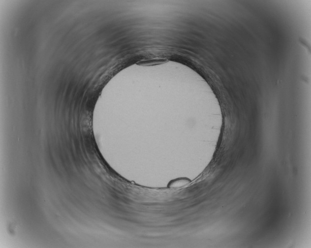 X0000102230048200808221317