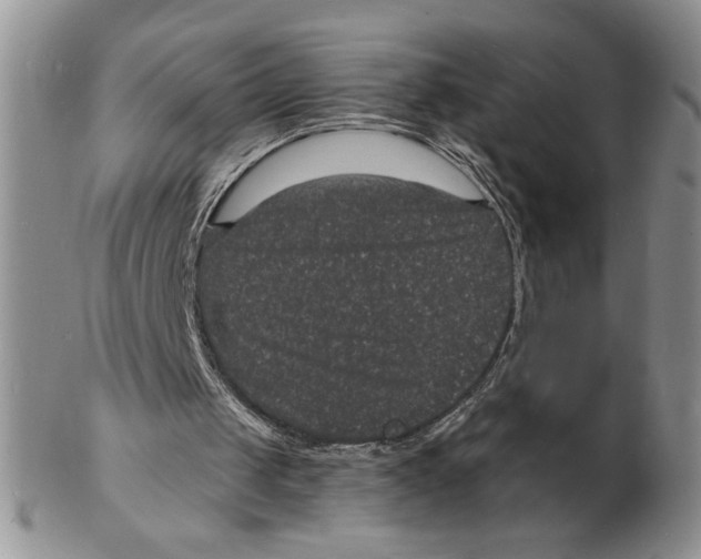 X0000102230049200808221317