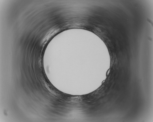 X0000102230050200808221317