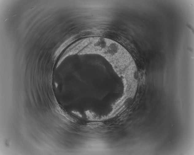 X0000102230051200808221317
