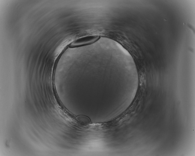 X0000102230052200808221317