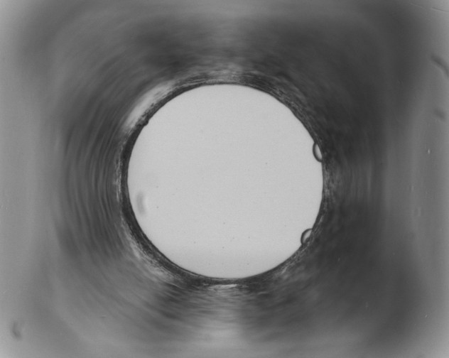 X0000102230054200808221317