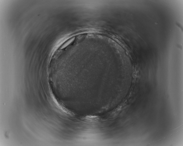 X0000102230055200808221317