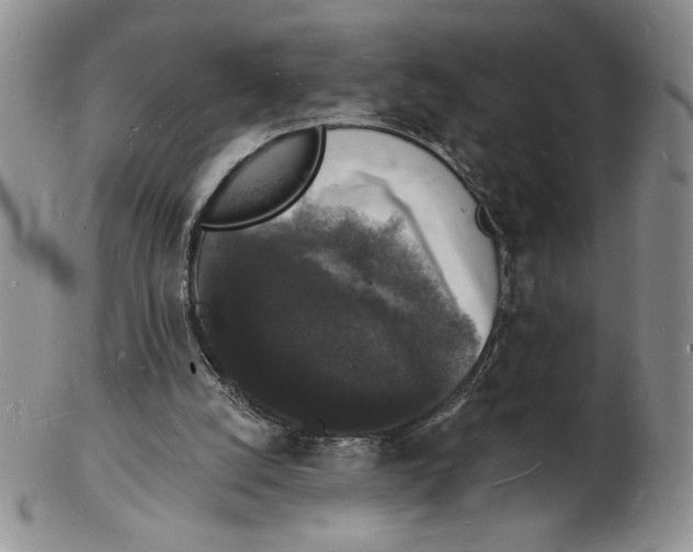 X0000102230056200808221317