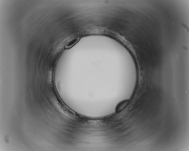 X0000102230057200808221317