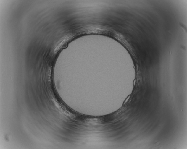 X0000102230058200808221317