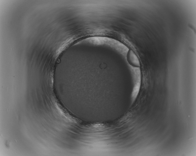 X0000102230059200808221317