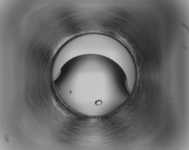 X0000102230060200808221317