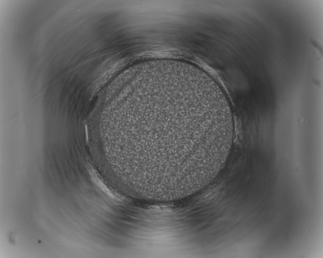 X0000102230061200808221317