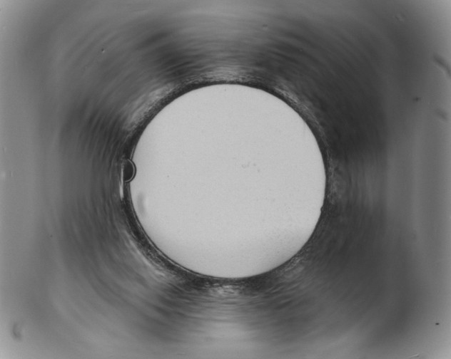 X0000102230062200808221317