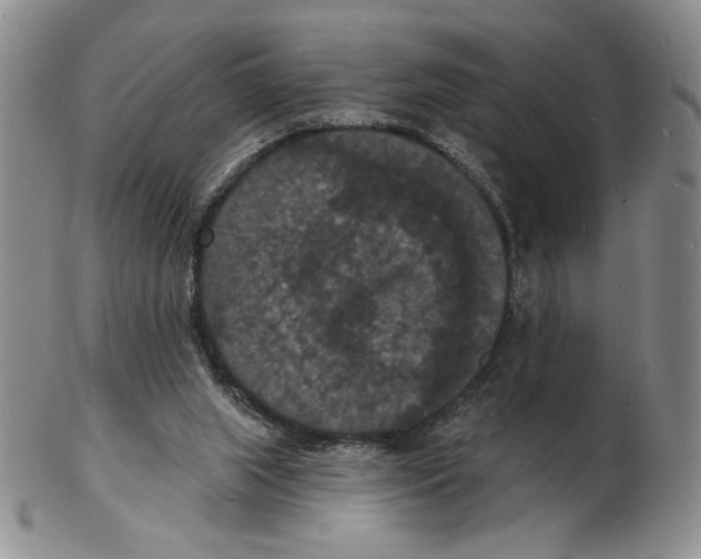 X0000102230063200808221317