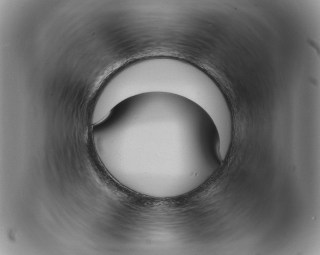 X0000102230064200808221317