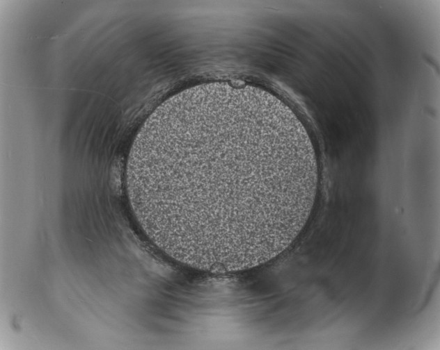 X0000102230065200808221317