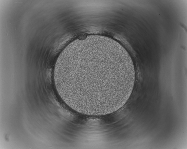 X0000102230066200808221317