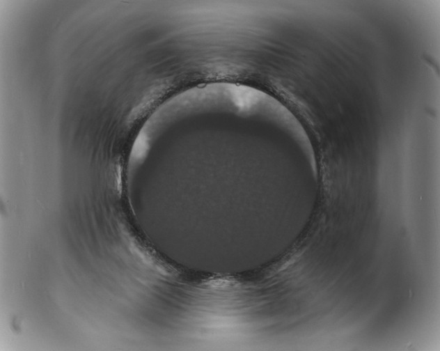 X0000102230067200808221317