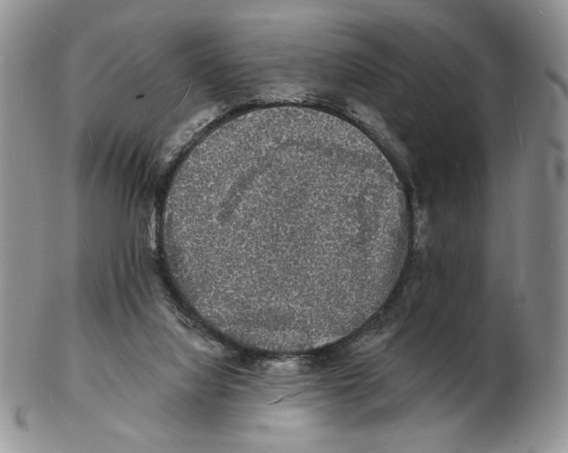X0000102230068200808221317