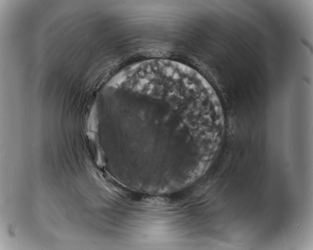 X0000102230069200808221317