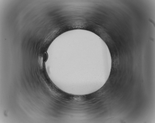X0000102230070200808221317