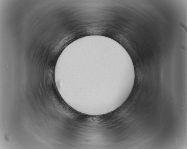 X0000102230071200808221317