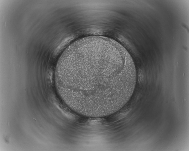 X0000102230072200808221317