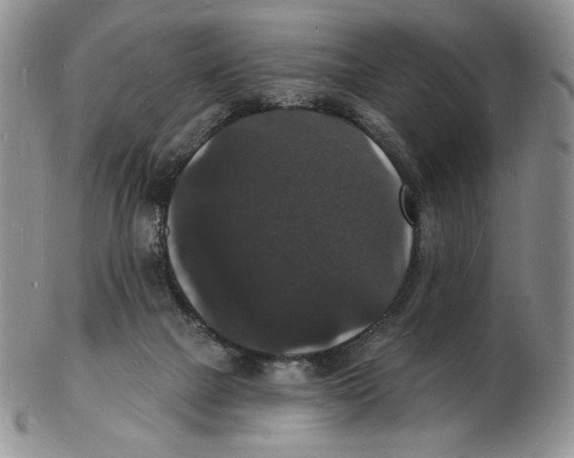 X0000102230073200808221317