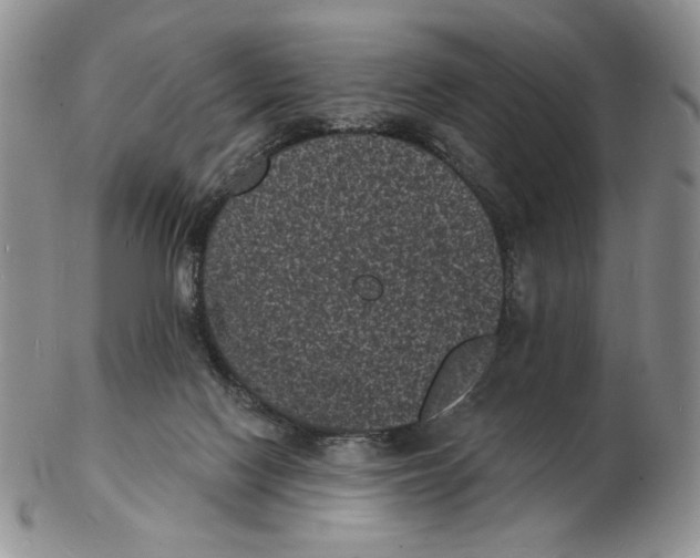X0000102230074200808221317