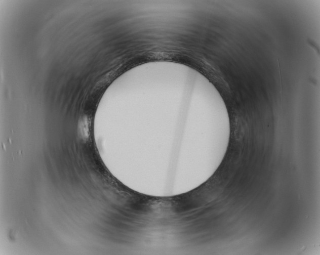 X0000102230075200808221317