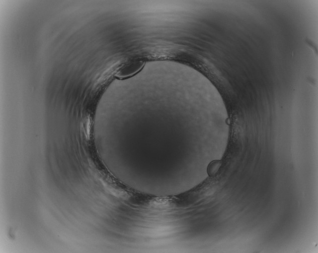 X0000102230076200808221317