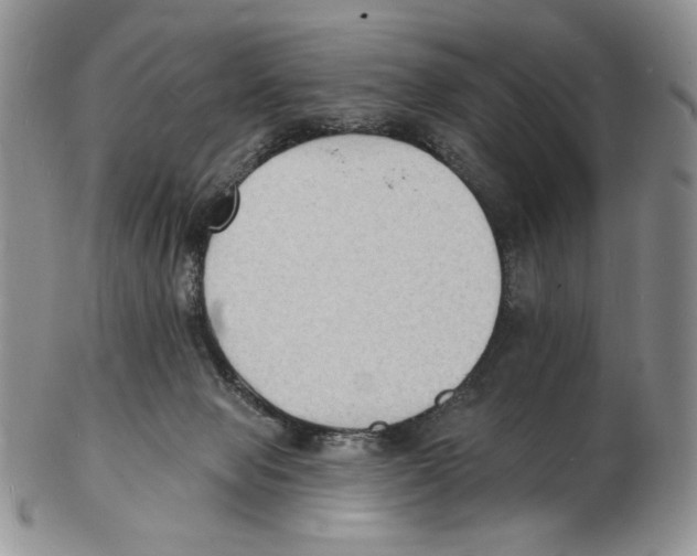 X0000102230077200808221317