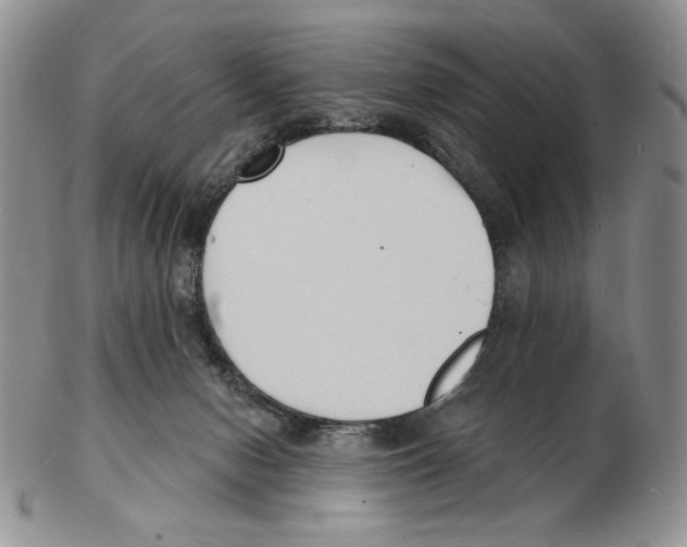 X0000102230078200808221317