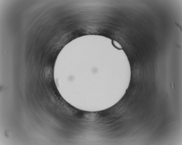 X0000102230079200808221317