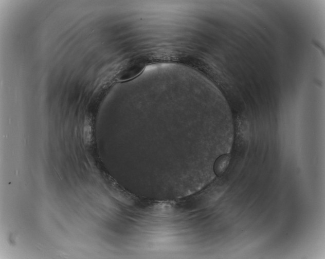 X0000102230080200808221317