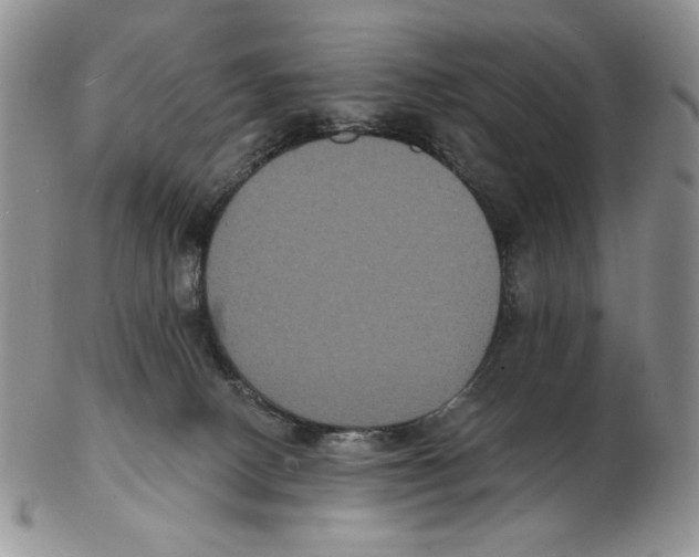 X0000102230082200808221317