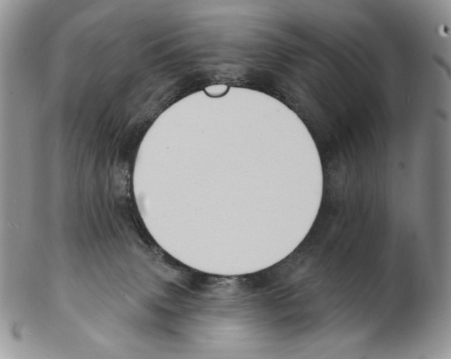 X0000102230083200808221317