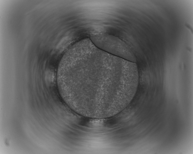 X0000102230084200808221317