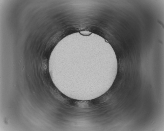 X0000102230085200808221317