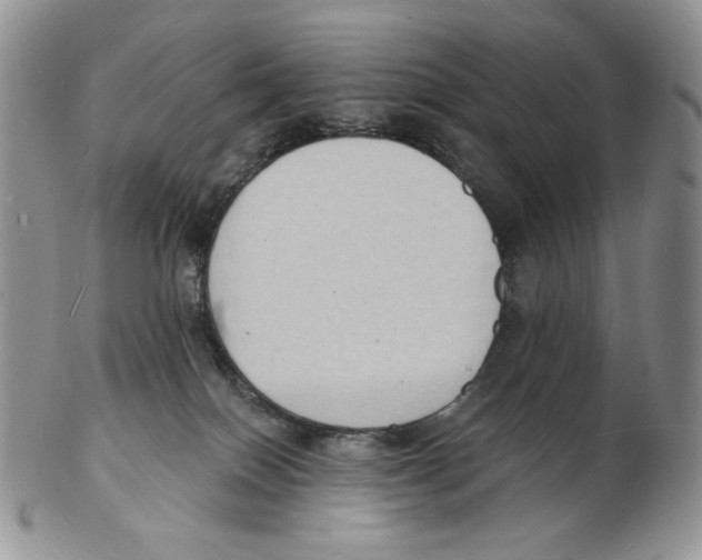 X0000102230086200808221317