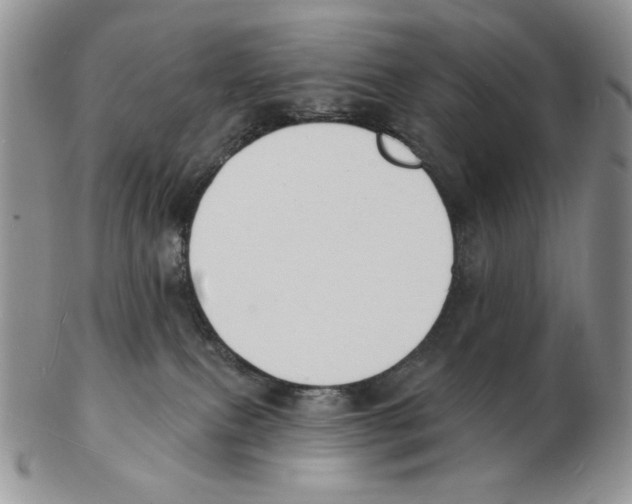 X0000102230087200808221317