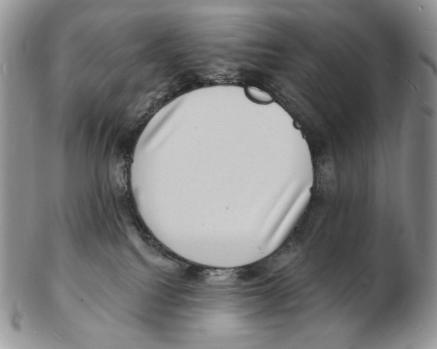 X0000102230088200808221317