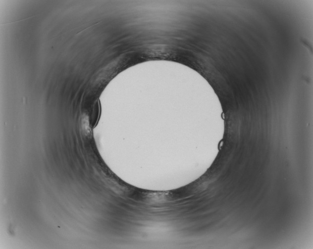 X0000102230089200808221317