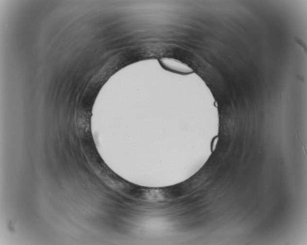X0000102230091200808221317