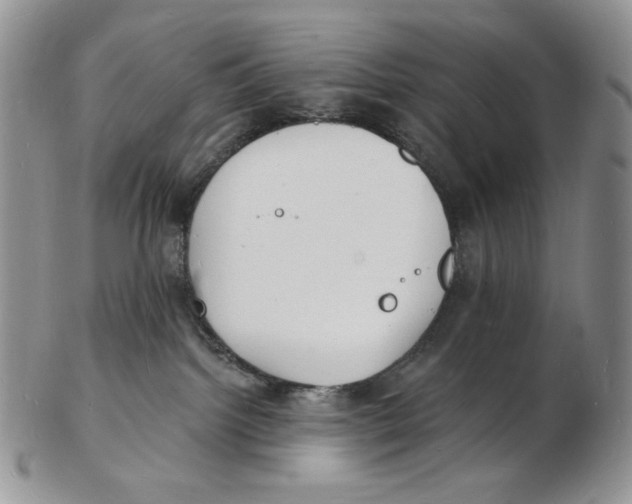 X0000102230092200808221317